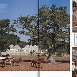 Trulli Di Monte Reale By Perle Di Puglia Villa Cisternino