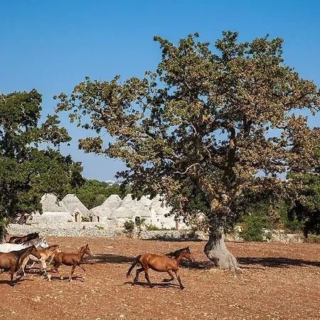 Trulli Di Monte Reale By Perle Di Puglia * 奇斯泰尼诺