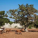 Trulli Di Monte Reale By Perle Di Puglia * Cisternino